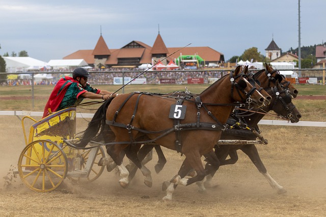 的分水岭 的分水岭